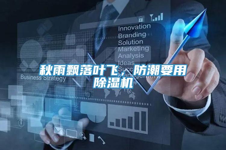 秋雨飄落葉飛，防潮要用PICACG哔咔官网入口