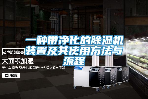 一種帶淨化的PICACG哔咔官网入口裝置及其使用方法與流程