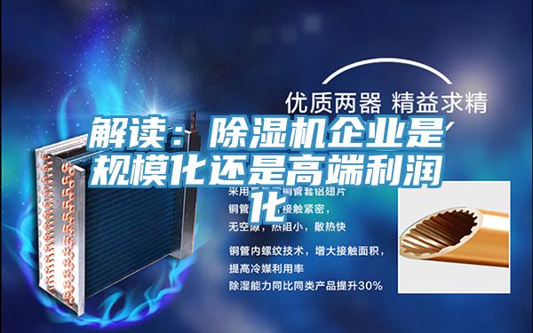 解讀：PICACG哔咔官网入口企業是規模化還是高端利潤化