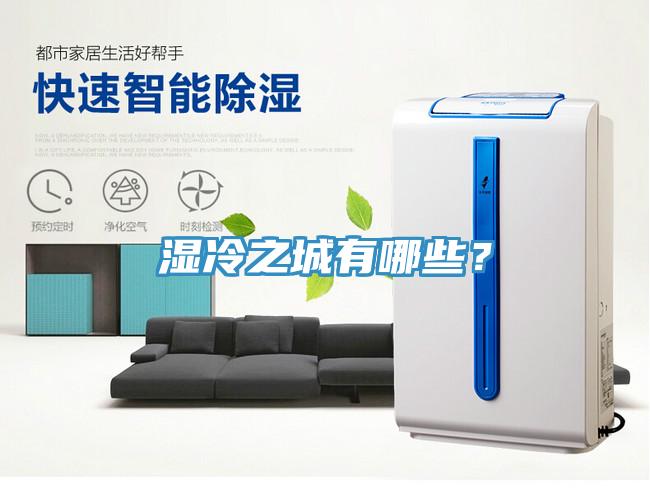 濕冷之城有哪些？