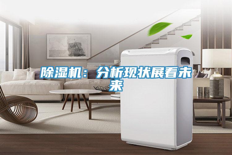 PICACG哔咔官网入口：分析現狀展看未來