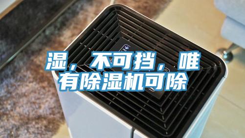 濕，不可擋，唯有PICACG哔咔官网入口可除