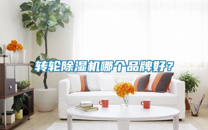 轉輪PICACG哔咔官网入口哪個品牌好？