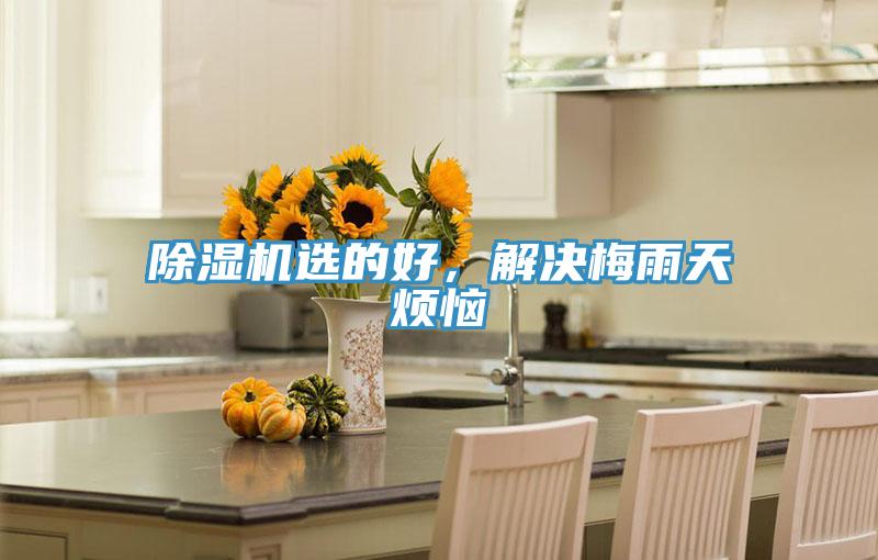 PICACG哔咔官网入口選的好，解決梅雨天煩惱