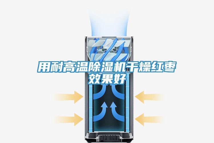 用耐高溫PICACG哔咔官网入口幹燥紅棗效果好