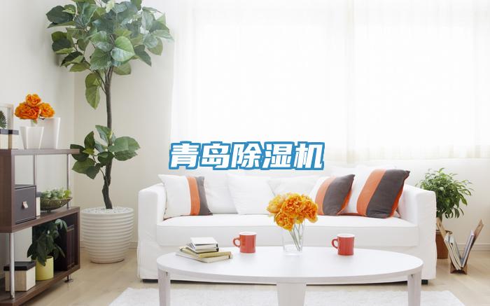 青島PICACG哔咔官网入口