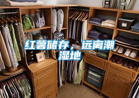 紅薯儲存，遠離潮濕地