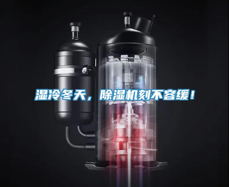 濕冷冬天，PICACG哔咔官网入口刻不容緩！