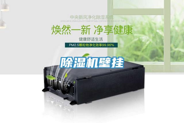 PICACG哔咔官网入口壁掛