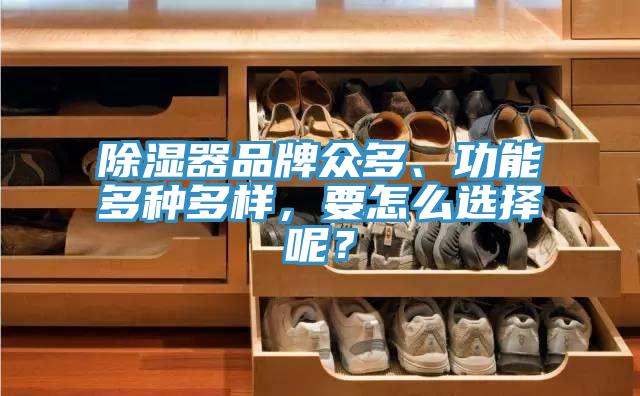 除濕器品牌眾多、功能多種多樣，要怎麽選擇呢？