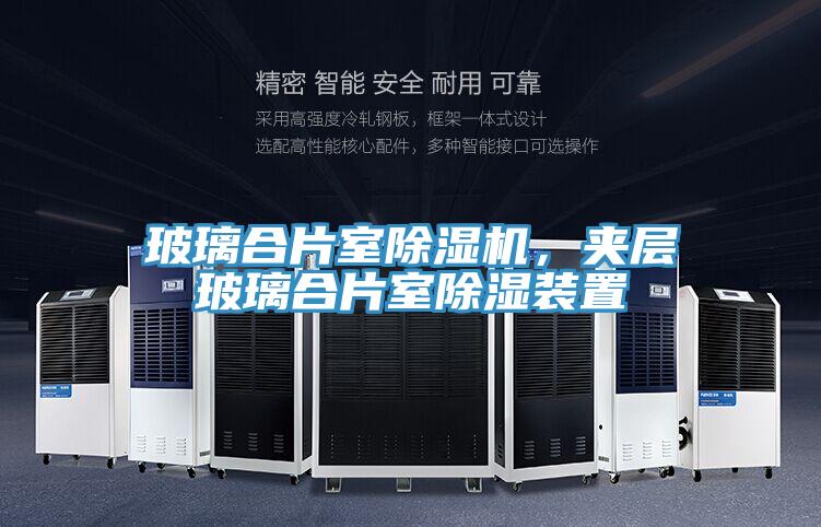玻璃合片室PICACG哔咔官网入口，夾層玻璃合片室除濕裝置