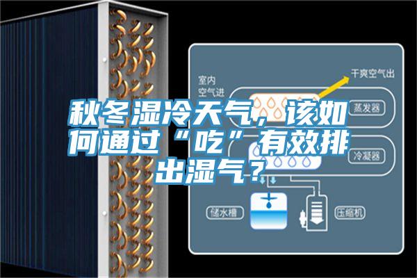 秋冬濕冷天氣，該如何通過“吃”有效排出濕氣？