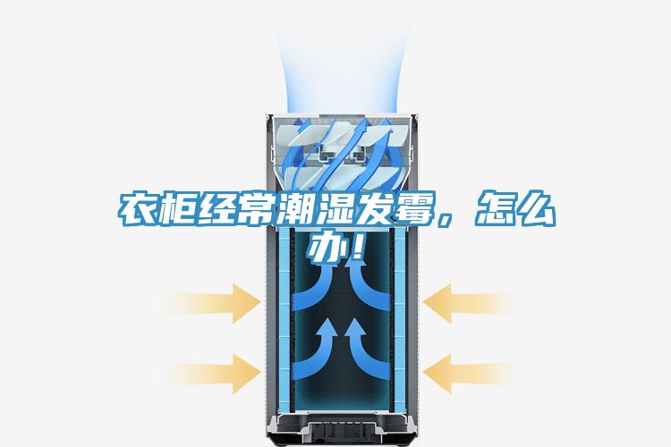 衣櫃經常潮濕發黴，怎麽辦！