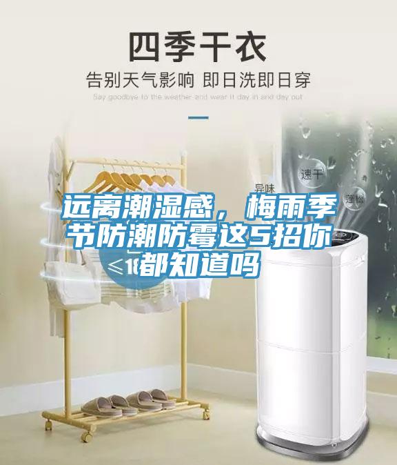 遠離潮濕感，梅雨季節防潮防黴這5招你都知道嗎