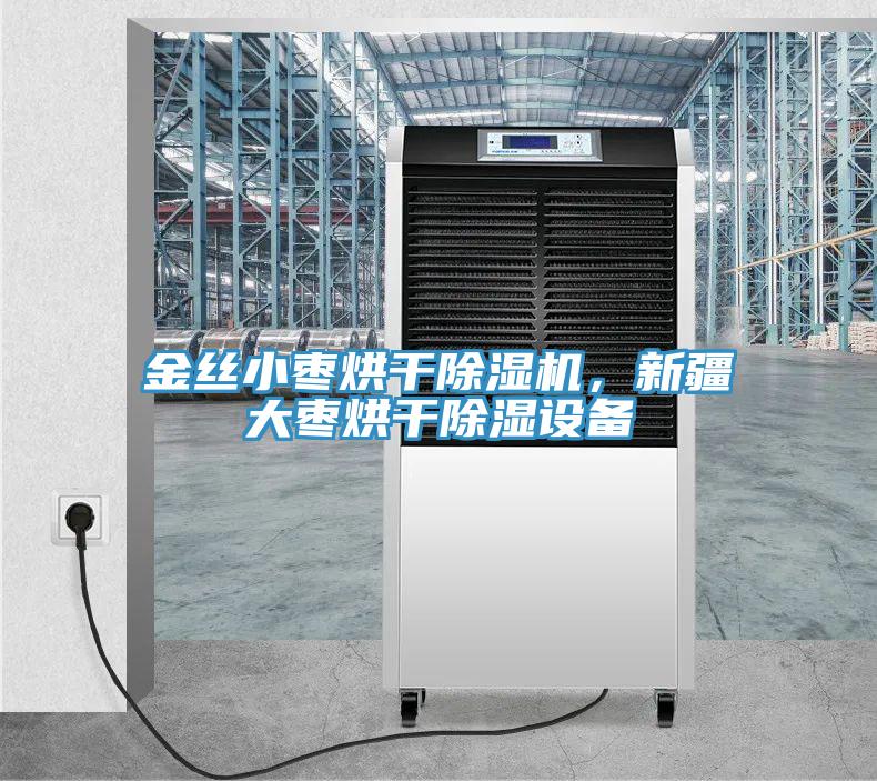 金絲小棗烘幹PICACG哔咔官网入口，新疆大棗烘幹除濕設備