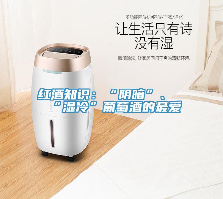 紅酒知識：“陰暗”、“濕冷”葡萄酒的最愛