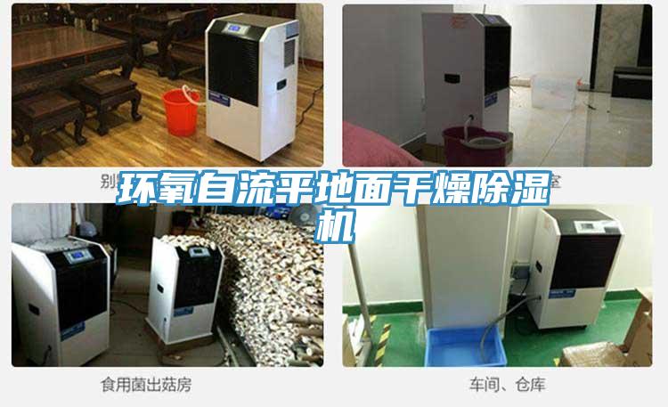 環氧自流平地麵幹燥PICACG哔咔官网入口