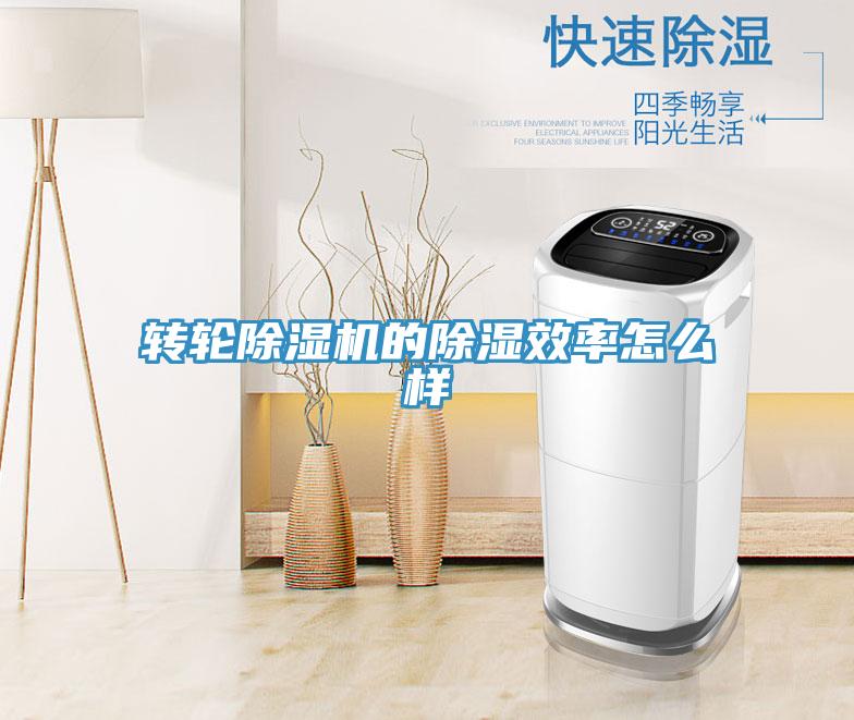 轉輪PICACG哔咔官网入口的除濕效率怎麽樣