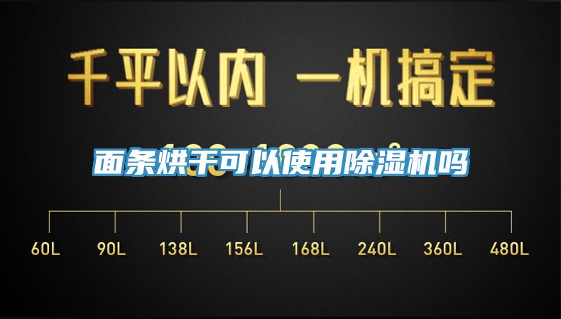 麵條烘幹可以使用PICACG哔咔官网入口嗎