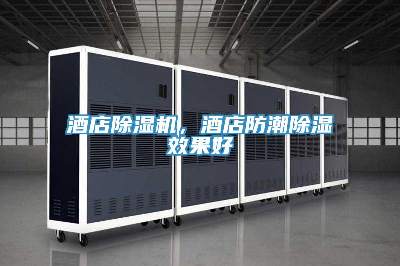 酒店PICACG哔咔官网入口，酒店防潮除濕效果好