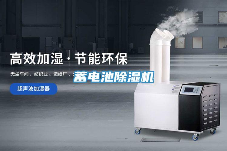 蓄電池PICACG哔咔官网入口