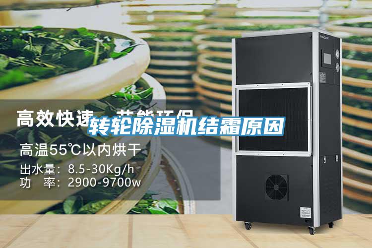 轉輪PICACG哔咔官网入口結霜原因