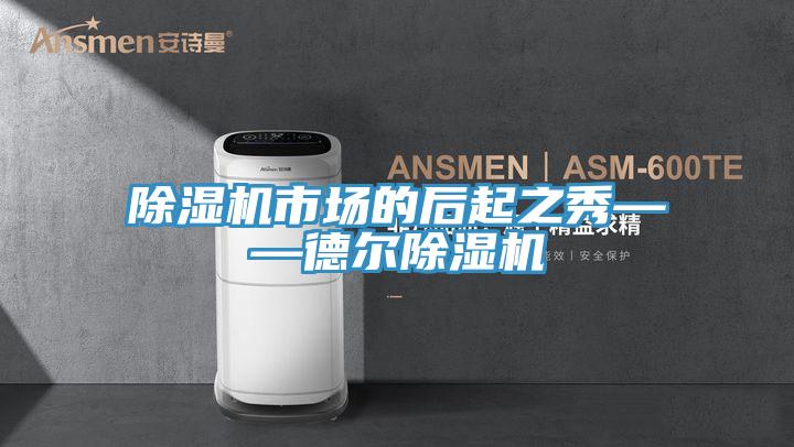 PICACG哔咔官网入口市場的後起之秀——德爾PICACG哔咔官网入口