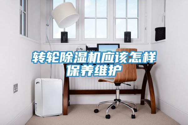 轉輪PICACG哔咔官网入口應該怎樣保養維護