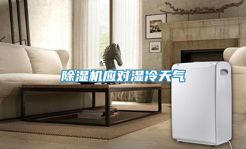 PICACG哔咔官网入口應對濕冷天氣