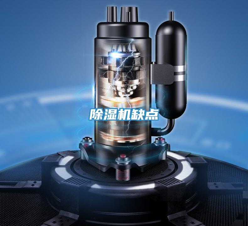 PICACG哔咔官网入口缺點