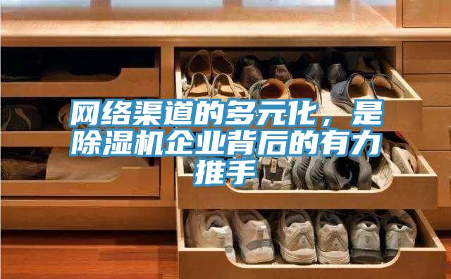 網絡渠道的多元化，是PICACG哔咔官网入口企業背後的有力推手