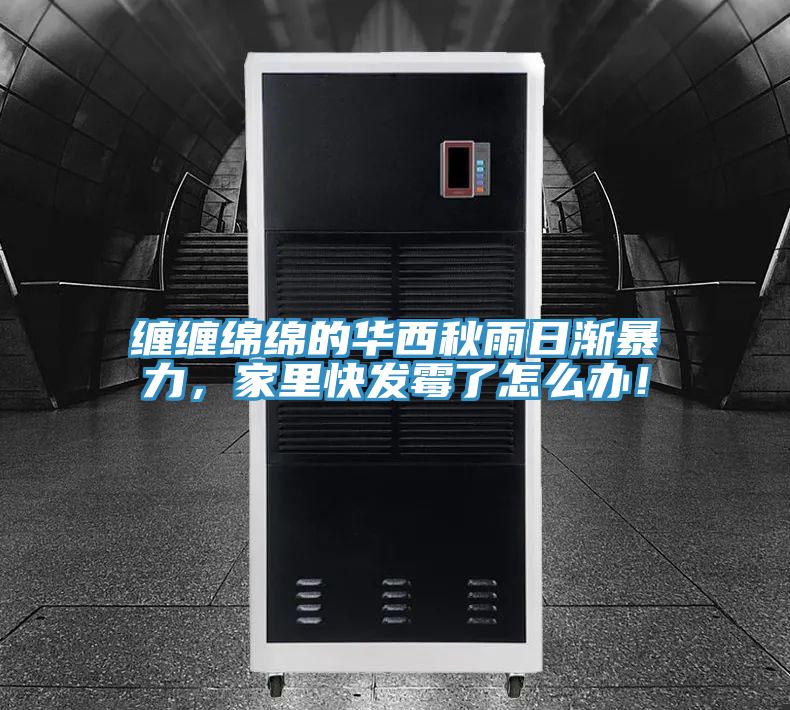 纏纏綿綿的華西秋雨日漸暴力，家裏快發黴了怎麽辦！