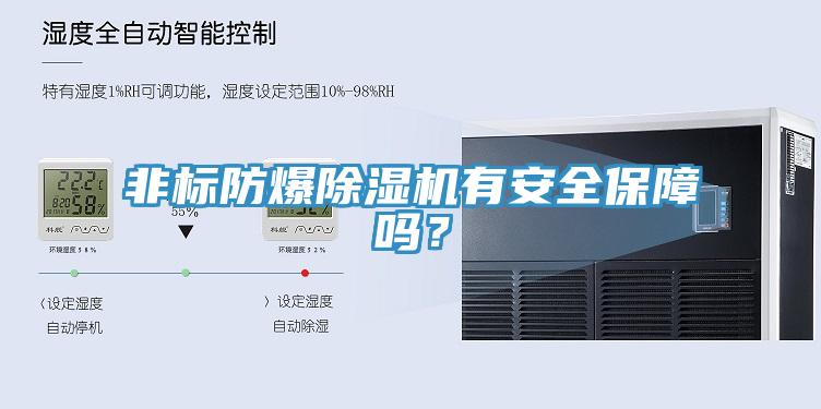 非標防爆PICACG哔咔官网入口有安全保障嗎？