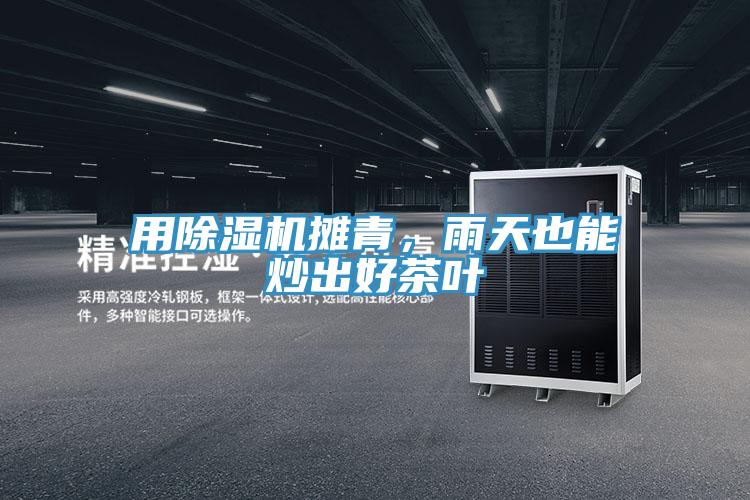 用PICACG哔咔官网入口攤青，雨天也能炒出好茶葉