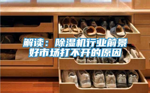 解讀：PICACG哔咔官网入口行業前景好市場打不開的原因