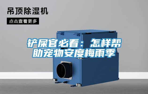 鏟屎官必看：怎樣幫助寵物安度梅雨季