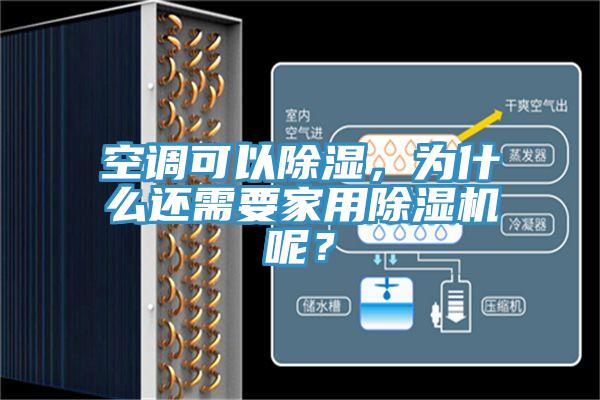 空調可以除濕，為什麽還需要家用PICACG哔咔官网入口呢？