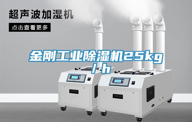 金剛工業PICACG哔咔官网入口25kg／h
