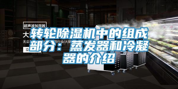 轉輪PICACG哔咔官网入口中的組成部分：蒸發器和冷凝器的介紹