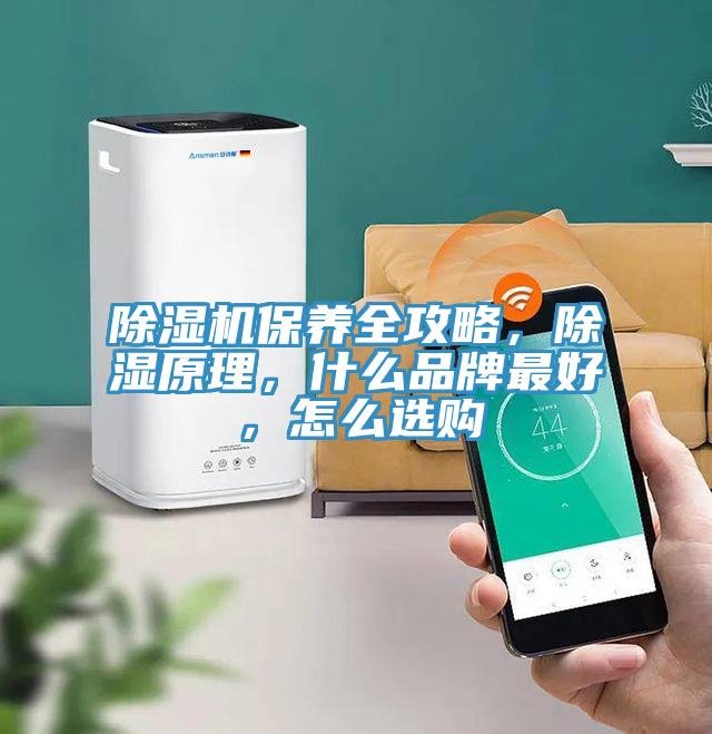 PICACG哔咔官网入口保養全攻略，除濕原理，什麽品牌最好，怎麽選購