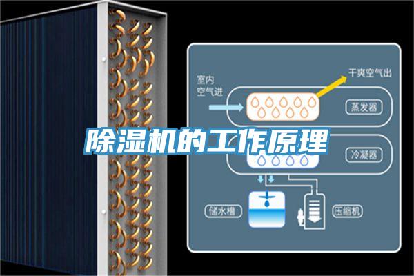 PICACG哔咔官网入口的工作原理