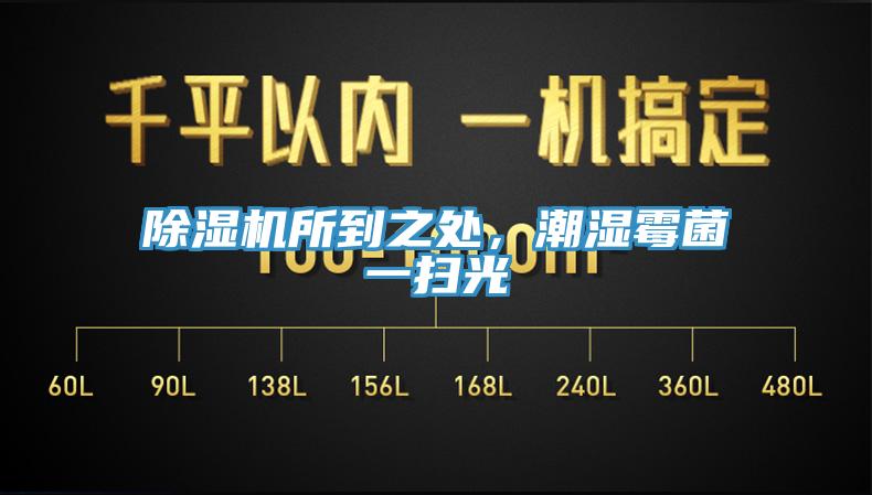 PICACG哔咔官网入口所到之處，潮濕黴菌一掃光