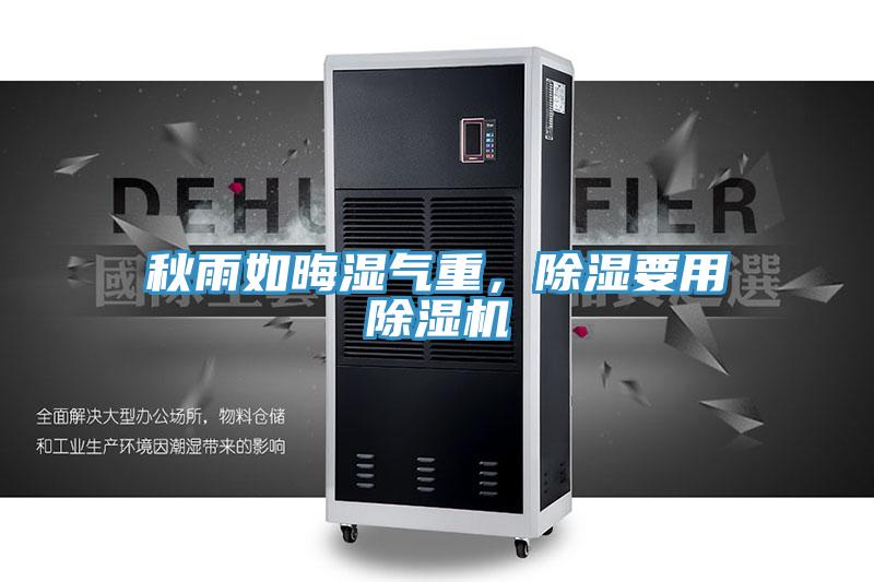 秋雨如晦濕氣重，除濕要用PICACG哔咔官网入口