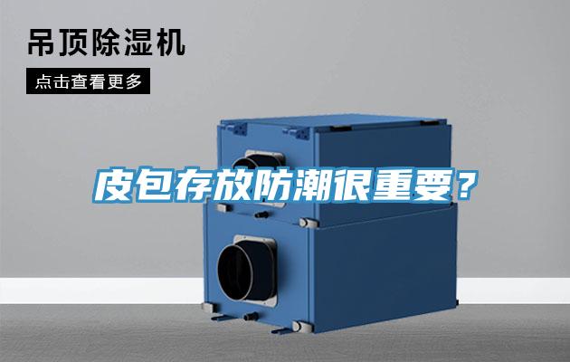 皮包存放防潮很重要？