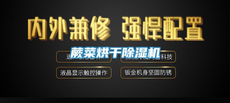 蕨菜烘幹PICACG哔咔官网入口