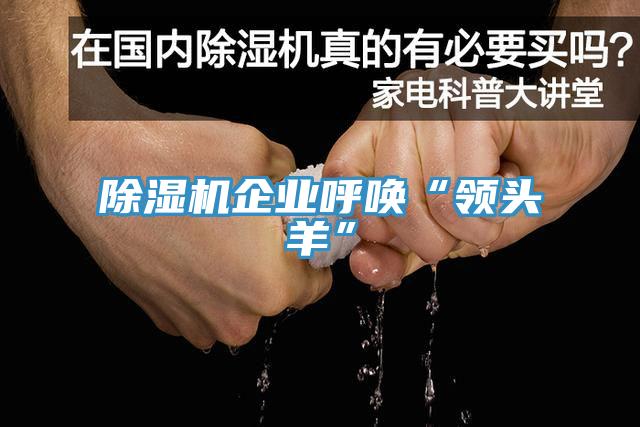 PICACG哔咔官网入口企業呼喚“領頭羊”
