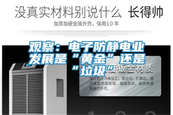 觀察：電子防靜電業發展是“黃金”還是“垃圾”