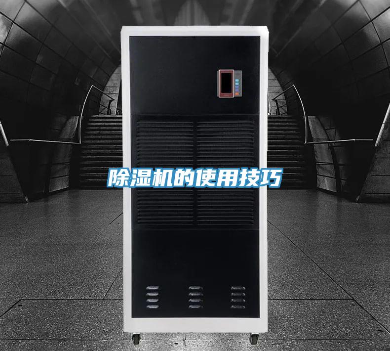 PICACG哔咔官网入口的使用技巧