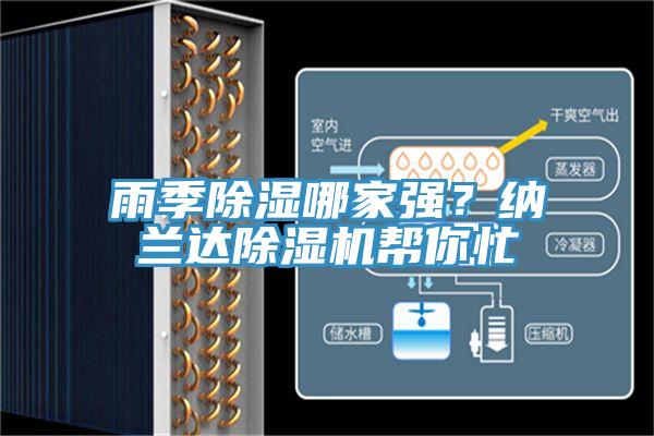 雨季除濕哪家強？納蘭達PICACG哔咔官网入口幫你忙