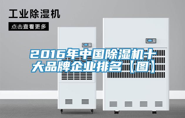 2016年中國PICACG哔咔官网入口十大品牌企業排名【圖】